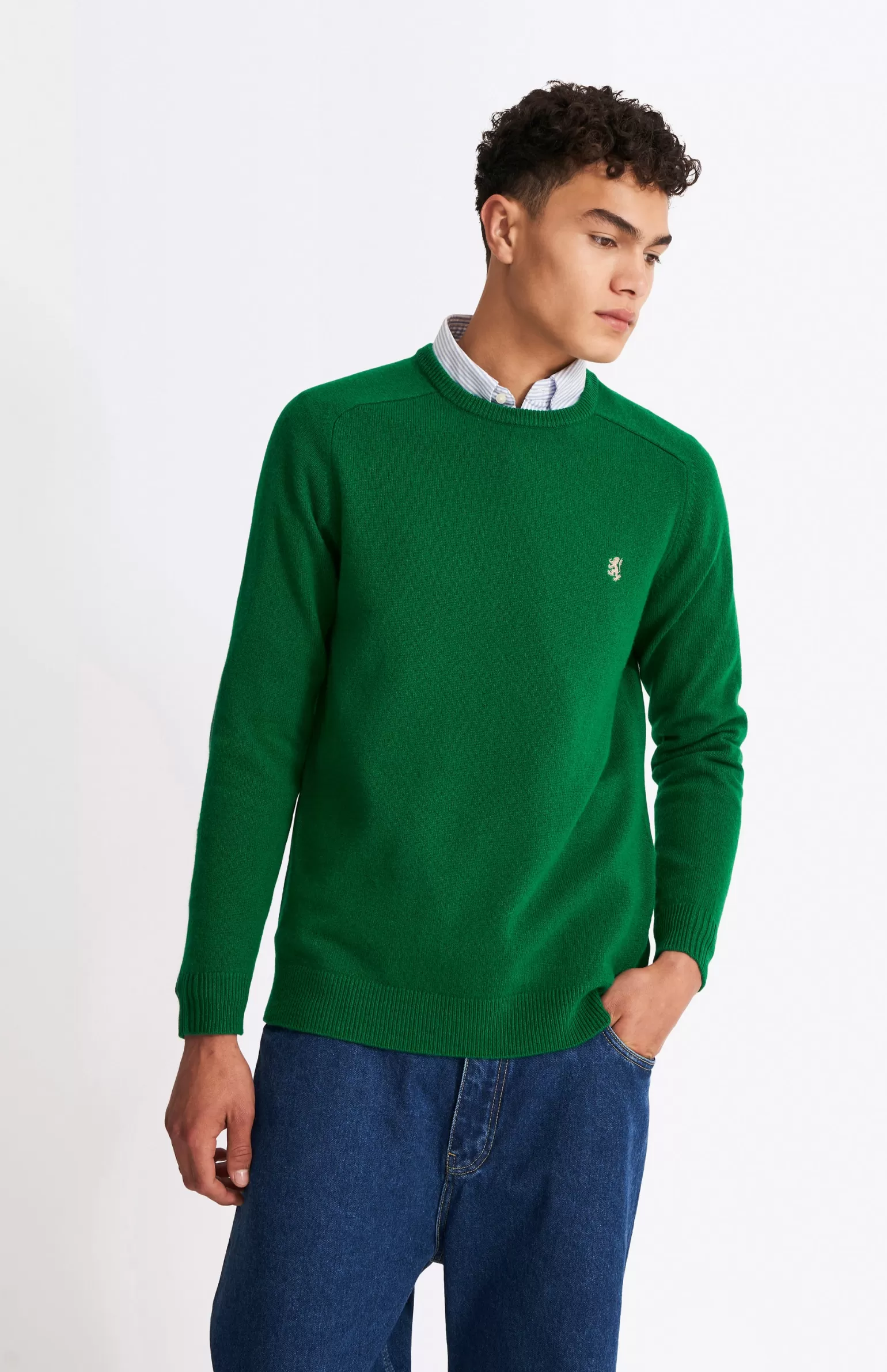 Pringle of Scotland Round Neck Lambswool Contrast Jumper In Dark Pine